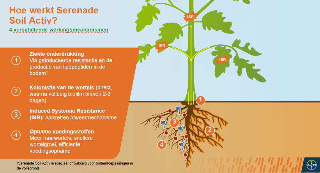 Hoe werk Serenade soil activ.png